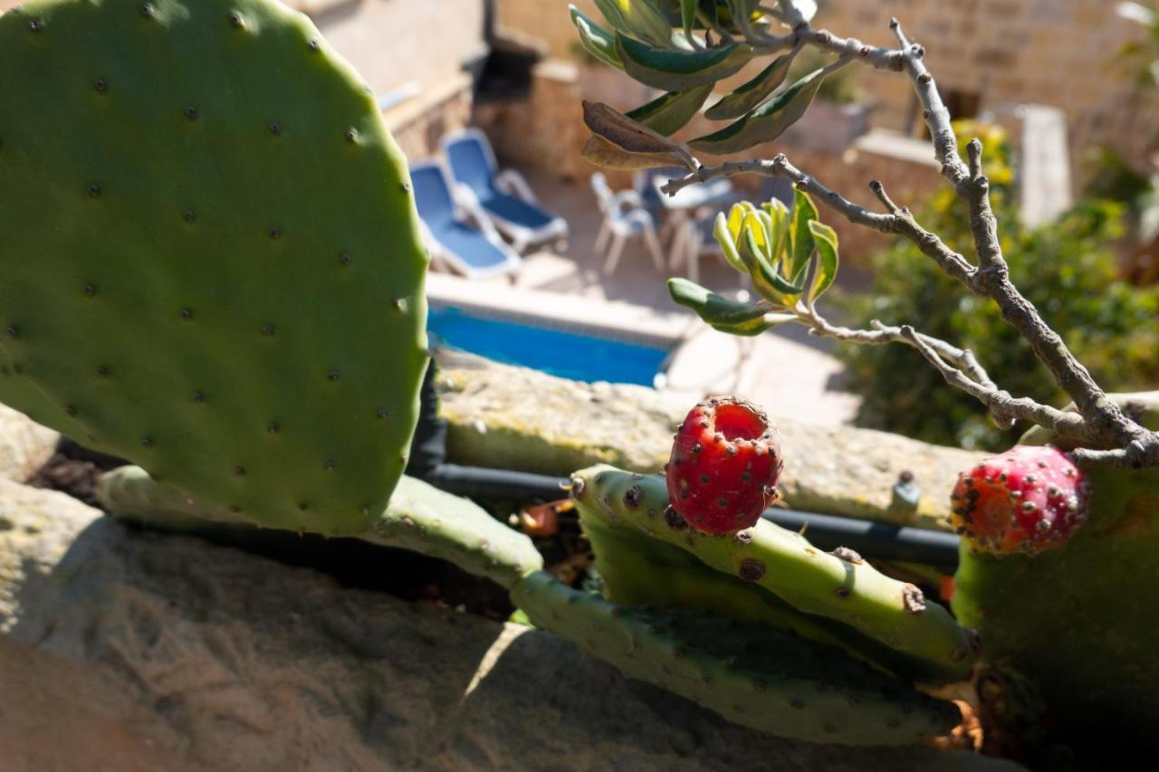 Prickly Pear Holiday Home No.1 Сан Лоренц Экстерьер фото